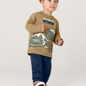 Conjunto Dino