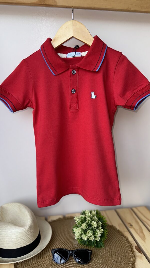 Camisa Polo Malha Menegotti - Imagem 4